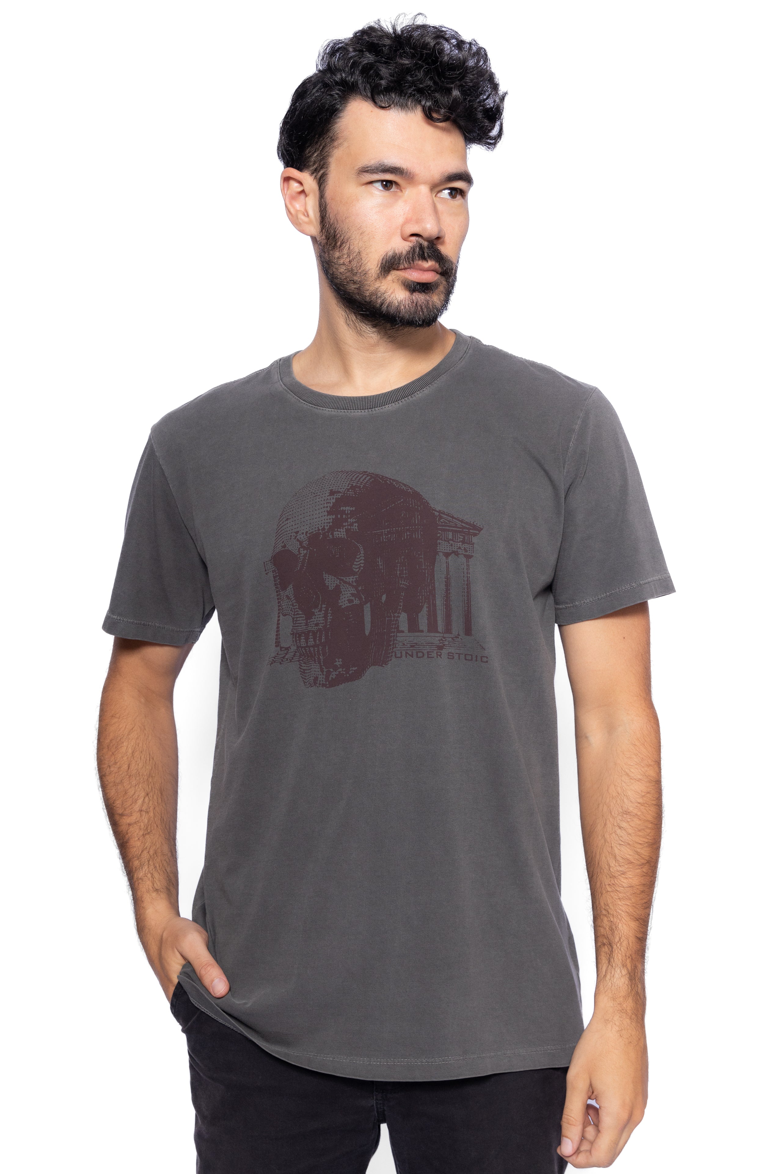 CAMISETA PARTHENON